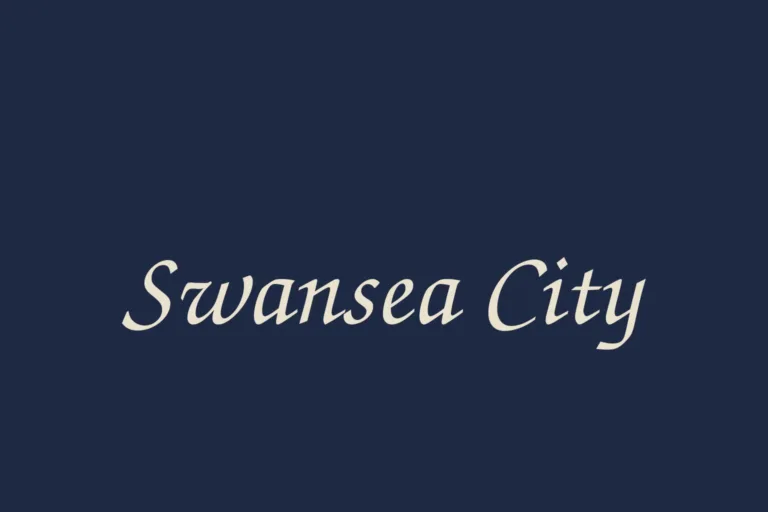 swansea-city