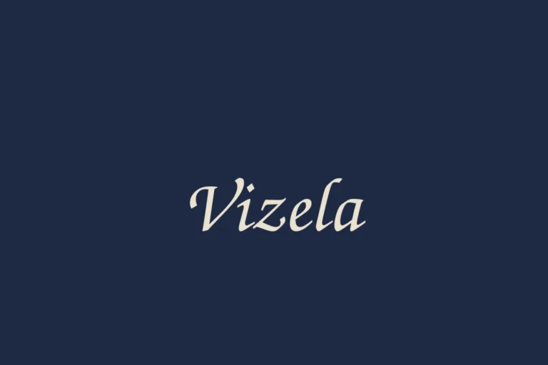 vizela