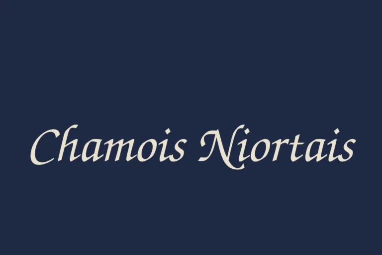 Chamois Niortais